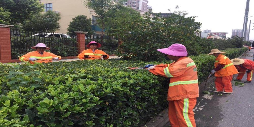 新站區(qū)道路清掃保潔、綠化管養(yǎng)項目